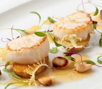 Meal Image